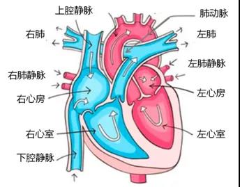 微信图片_20210225140957.jpg